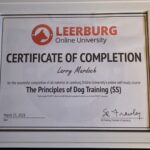 Certificate of Completion from Leerrburg Online University for a course on The Principles of Dog Training.