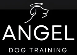 ANGEL DOG TRAINING